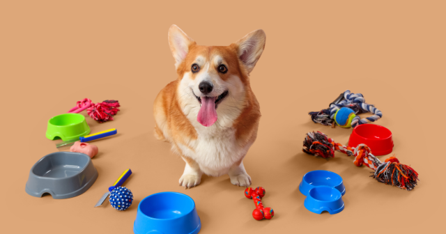 The Ultimate Guide to Keeping Your Dog Busy Indoors