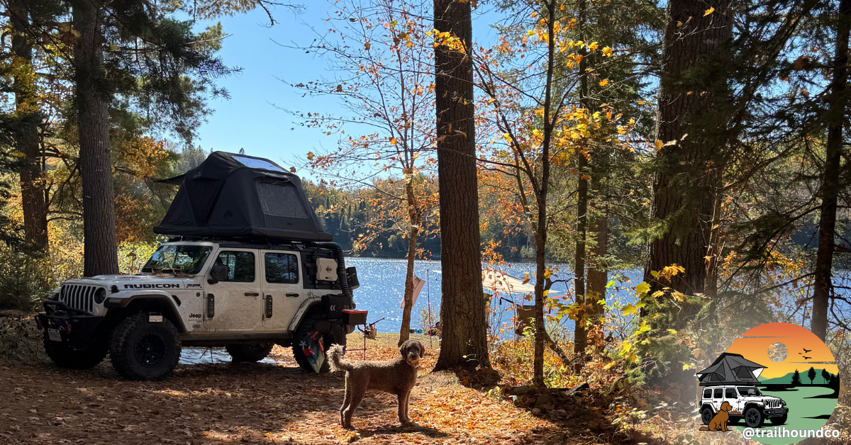 Camping with Your Dog: Tips, Gear, and Safety for the Perfect Trip